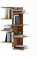 /catalog/novye-tovary/mebel/korpusnaya-mebel/polki-i-stellazhi/polka-knizhnaya-kevin-3-1734391301/ - фотография