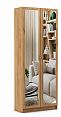 /catalog/novye-tovary/mebel/korpusnaya-mebel/shkafy/shkaf-platyanoy-boston-8-1130850160/ - фотография