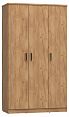 /catalog/novye-tovary/mebel/korpusnaya-mebel/shkafy/shkaf-platyanoy-viktoriya-vi-09/ - фотография