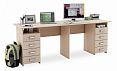 /catalog/kategorii/stoly/kompyuternye-stoly/stol-pismennyy-layt-15-268297581/ - фотография