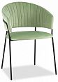 /catalog/novye-tovary/stool-group/stulya-i-taburety/stul-bruno-497485048/ - фотография