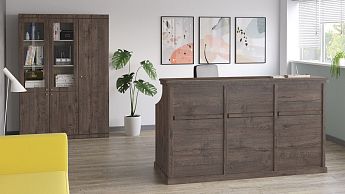 Картинка раздела - BERN reception